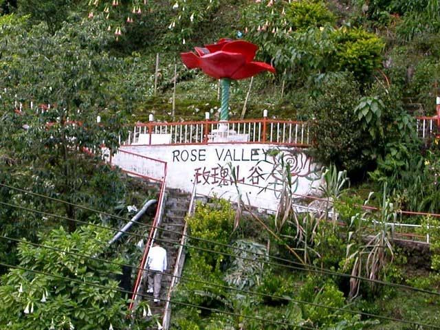 Direview Id Cantiknya Bunga Mawar Di Rose Valley Malaysia