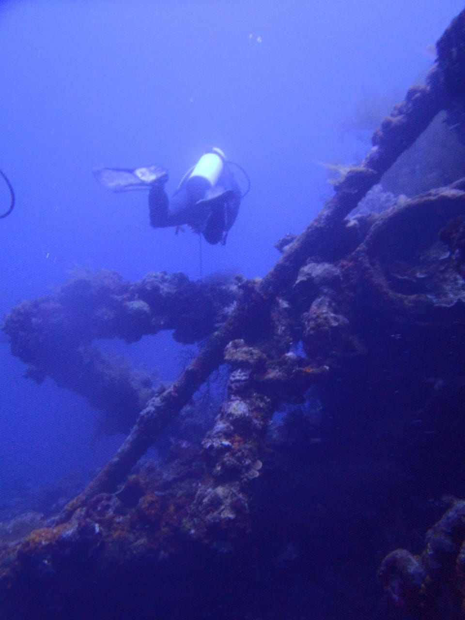 Mau Berburu Biota Laut? Coba 4 Spot Diving Terbaik di Bali Timur Yuk