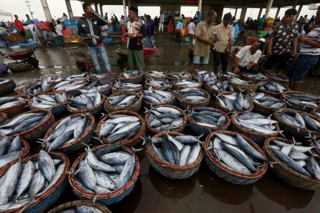Mantap! Biaya Pembangunan Pasar Ikan Modern Palembang Telan Rp24 M   