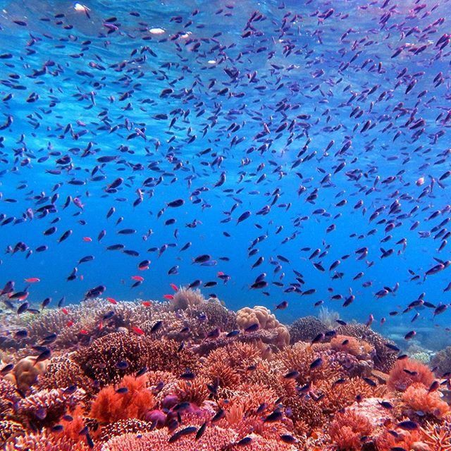 5 Spot Cantik di Pulau Selayar yang Wajib Kamu Datangi