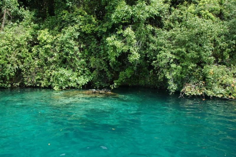 Ternyata! Danau Terdalam di Indonesia Ada di Sulawesi Selatan