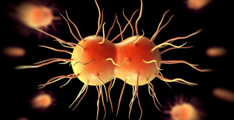 Akibat Resistensi Antibiotik, 5 Penyakit Ini Jadi Lebih Mematikan