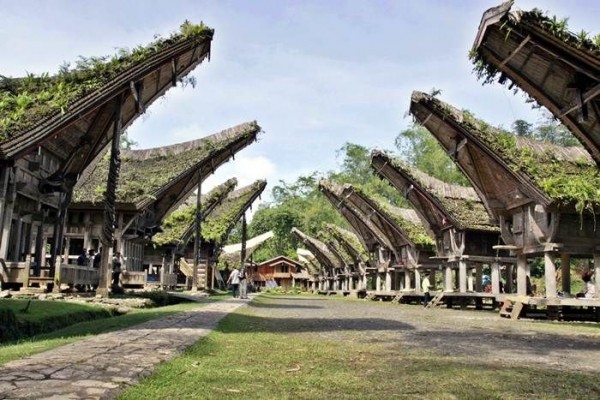 Background Objek Wisata Toraja