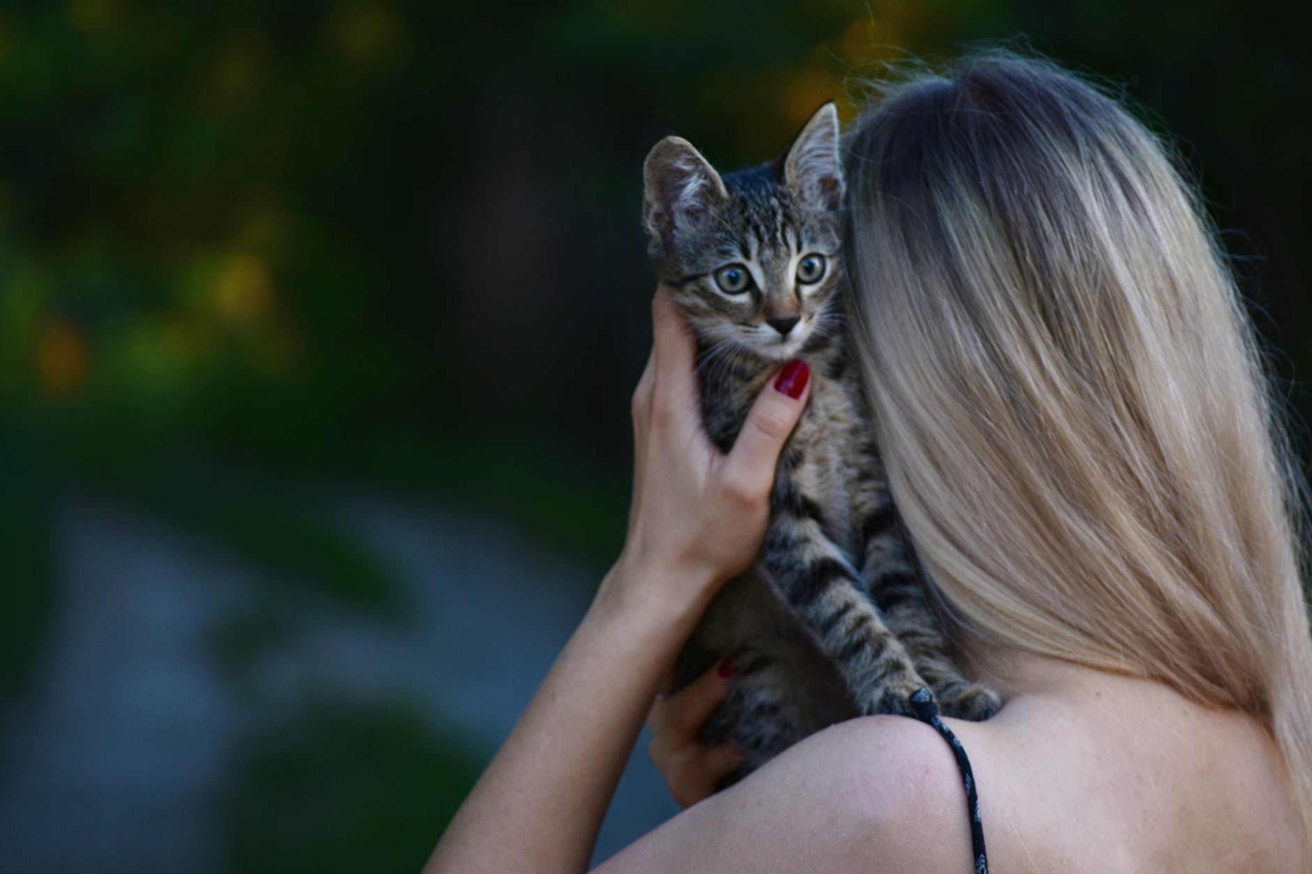 7 Kepribadian Khas Yang Dimiliki Cewek Pencinta Kucing