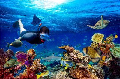 5 Rekomendasi Wisata Snorkeling di Lampung, Surga Bawah Laut!