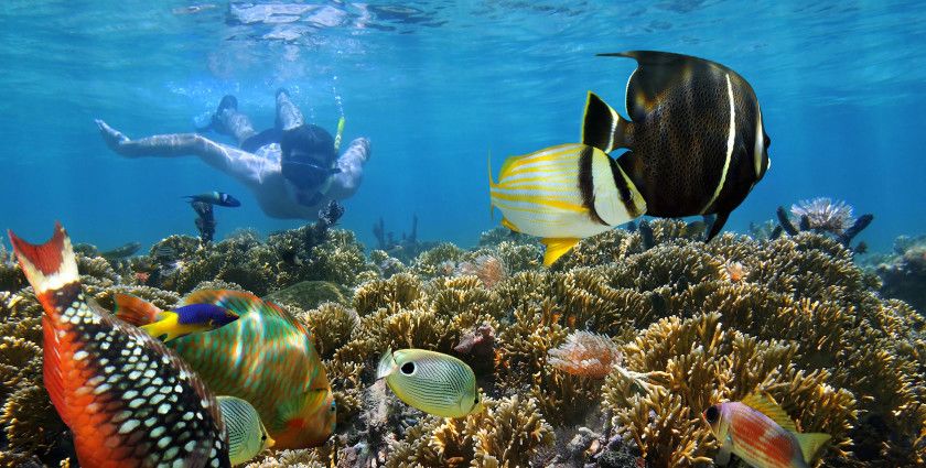 Indahnya Pemandangan Bawah Laut Gili Asahan di Lombok Barat