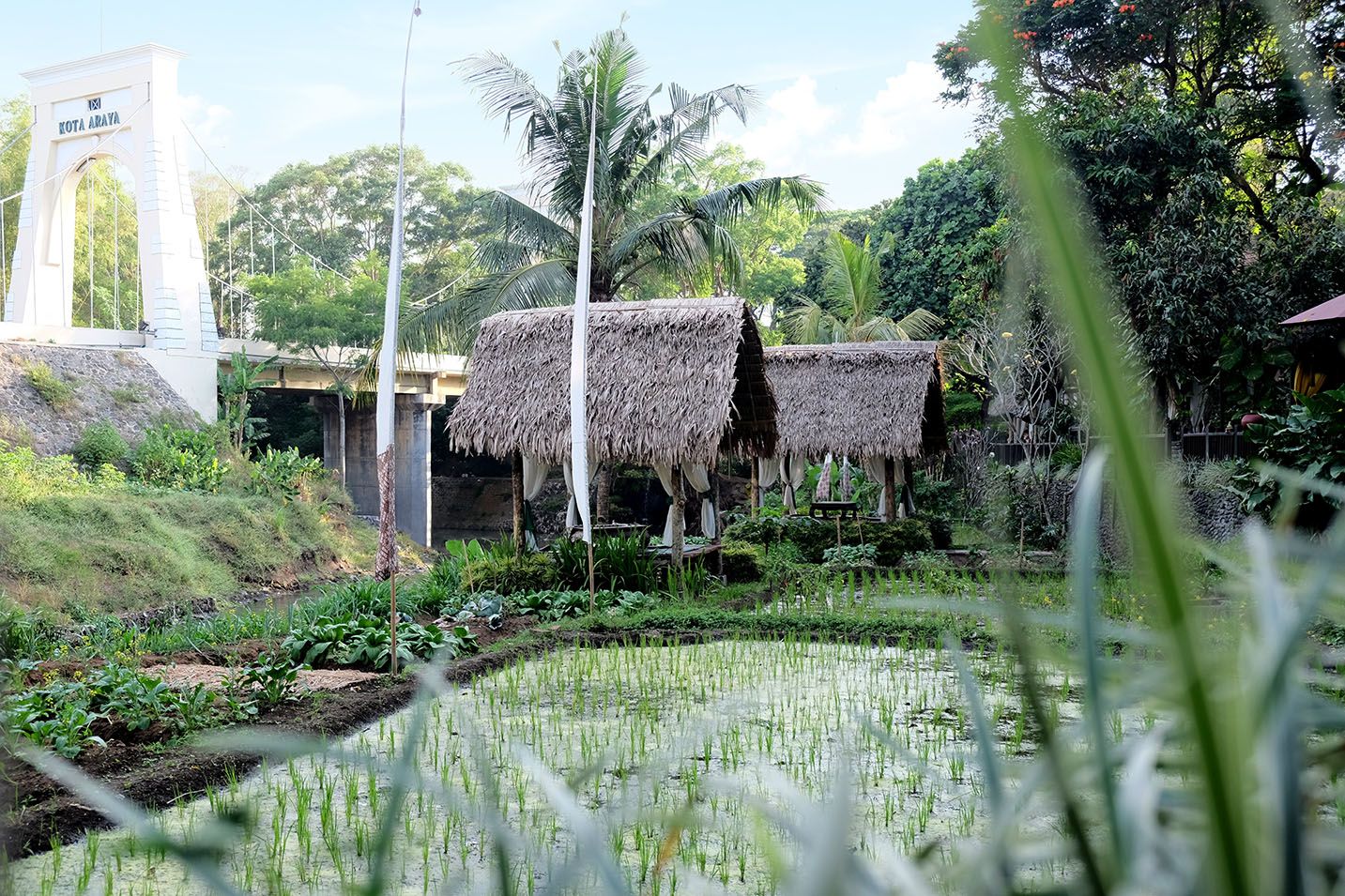 5 Tempat Makan Bak Pedesaan Di Malang