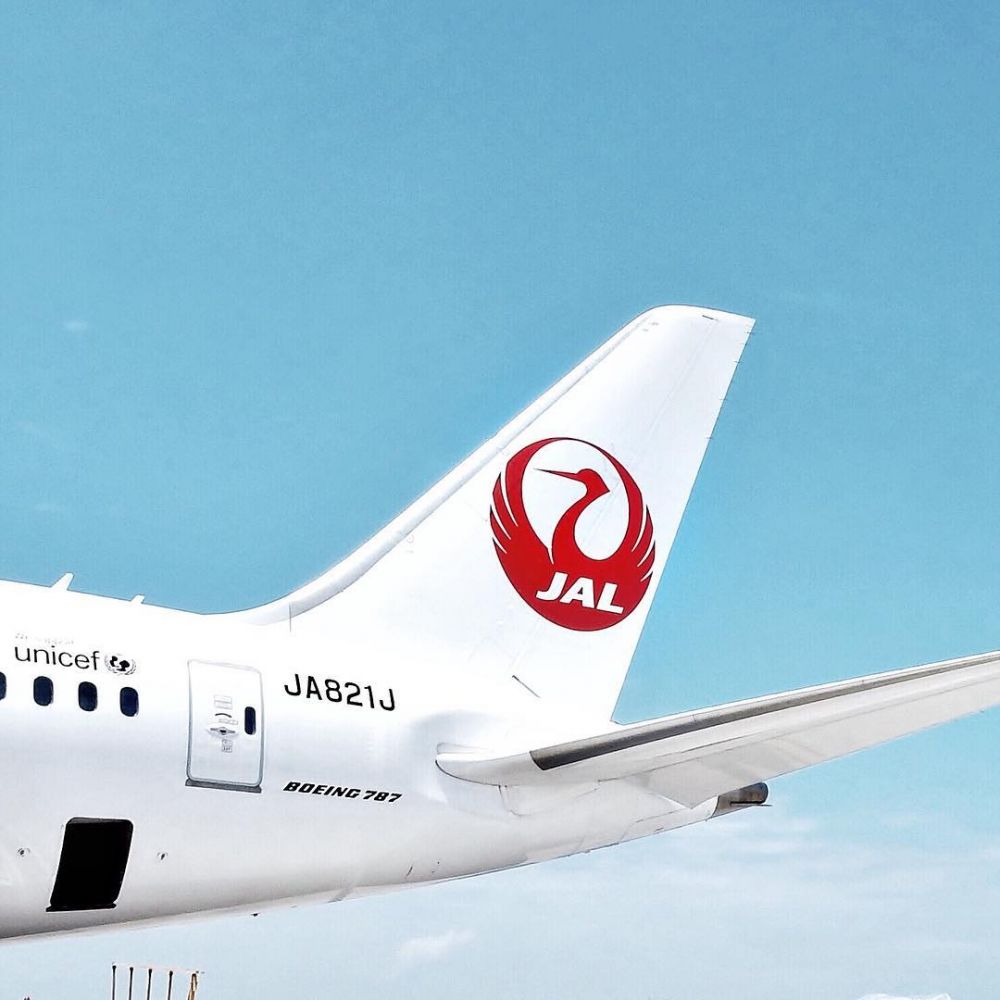 Джал. JAL. Japan Airlines Сергей. JAL.Fundd. Ялта авиакомпания.