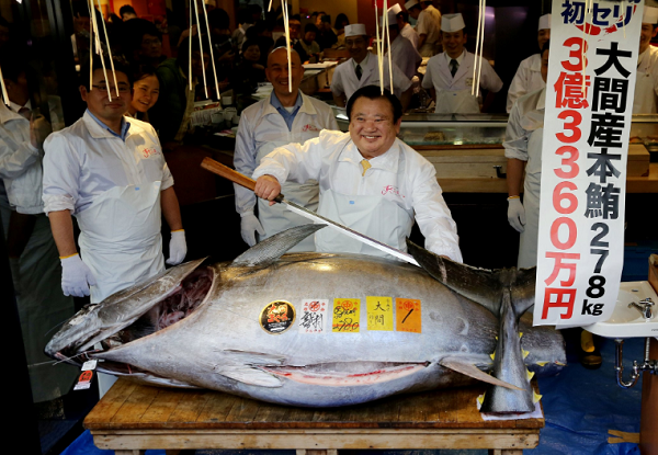 Seorang Pengusaha Berani Bayar Mahal Ikan Tuna 3,1 Juta Dolar AS