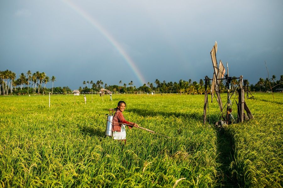 Petani Ancam Mengalihfungsikan Sawah di Kawasan Pantai Timur Sumatera