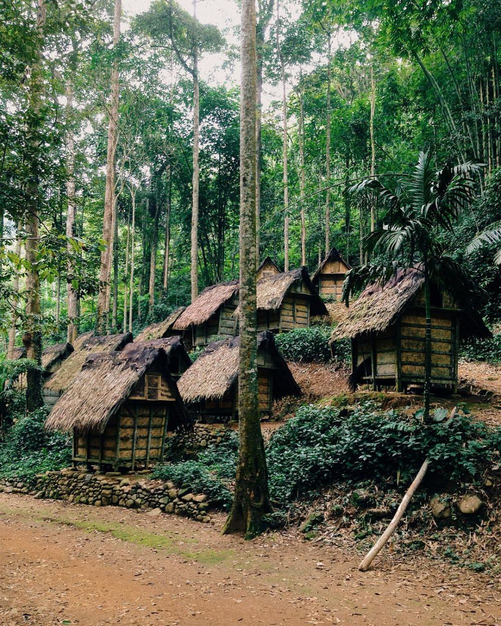 Berencana Ke Kampung Baduy Begini Tipsnya Agar Aman Dan Nyaman