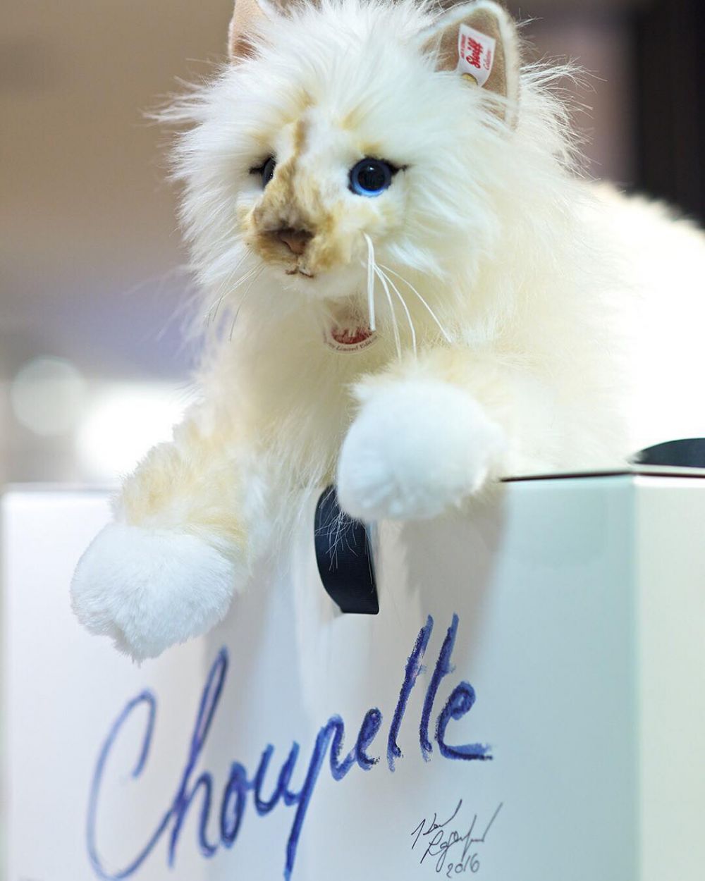 steiff choupette cat