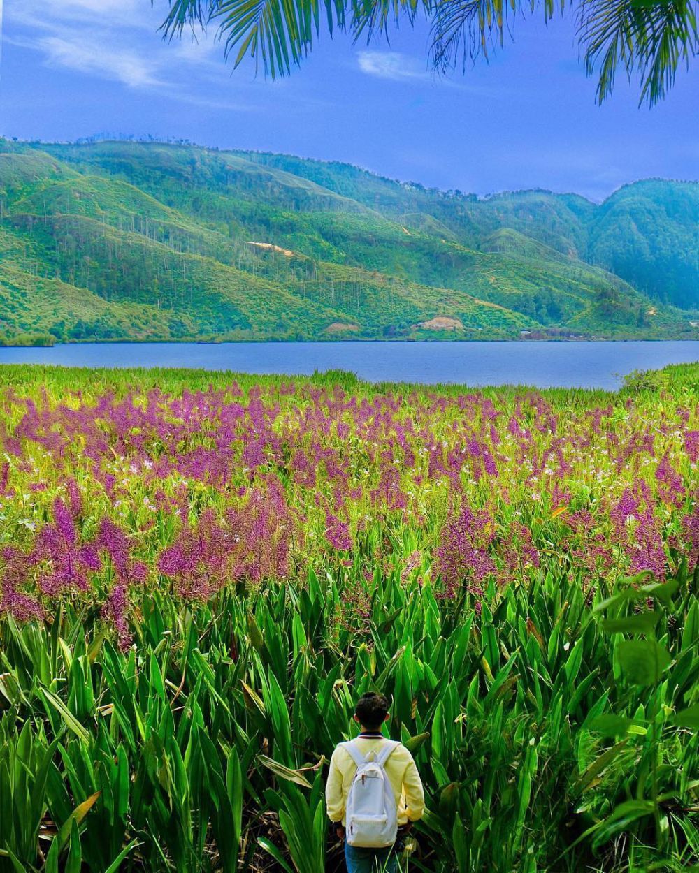 Bukan Cuma Toba, Ini Lima Danau Keren yang Ada di Sumatera Utara