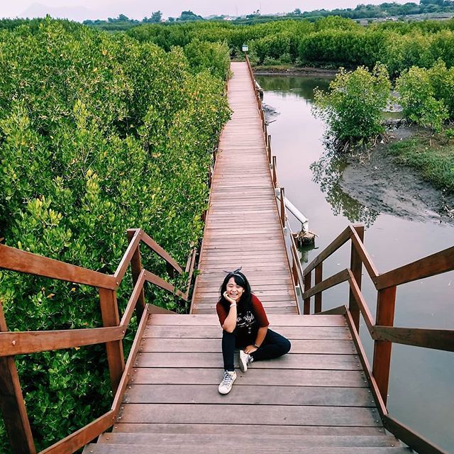 Pesona Pantai Duta Perpaduan Hutan Cemara Dan Mangrove Di