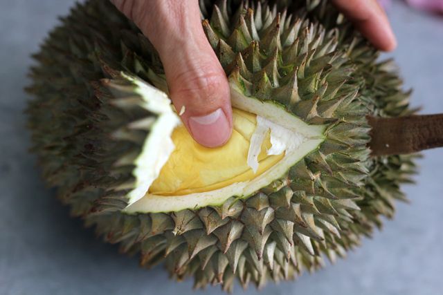 Download 440 Koleksi Gambar Durian Terbelah Paling Bagus 