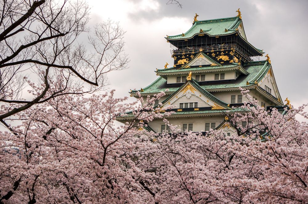 Korea jepang. Nishinomaru Garden - Osaka Castle. Сакура крепость. Осака Индонезия. Осака плод.