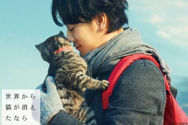 Ini 7 Judul Film  Jepang  yang Wajib Ditonton Pecinta Kucing 