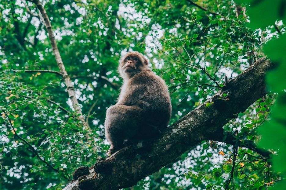 Gak Cuma Berbahaya Ini 6 Alasan Utama Kamu Jangan 