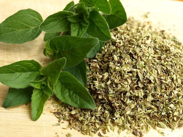 Ini Manfaat Oregano untuk Kesehatan