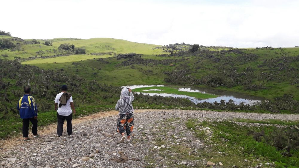 11 Fakta Fulan Fehan, Padang Rumput Indah di Ujung Perbatasan NTT