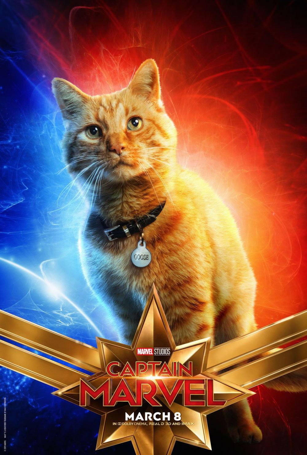 Mengenal Chewie, Kucing Alien Lucu Peliharaan Captain Marvel