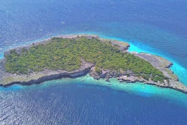 Selain Komodo, 10 Pulau di Indonesia Ini Juga Diambil dari Nama Hewan