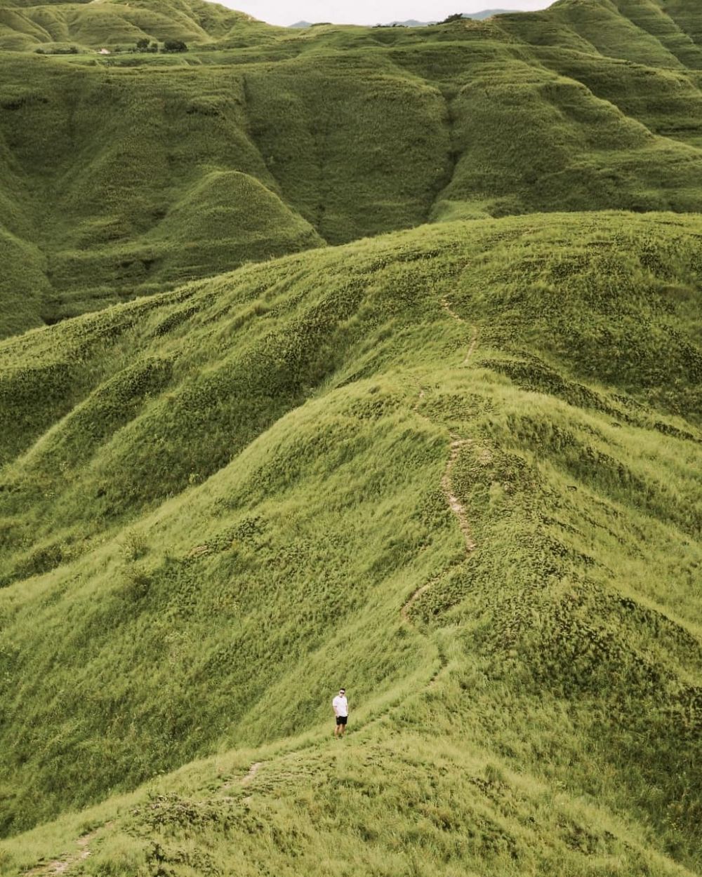 Indah Banget, Ini 10 Potret Pesona Bukit Hiliwuku di Pulau Sumba!