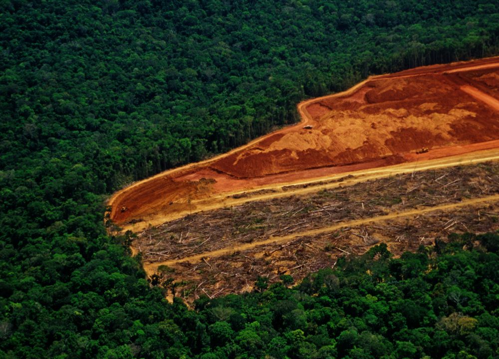 Terpantau Perambahan Hutan Ilegal di Seputar Proyek Jalan Jantho-Lamno