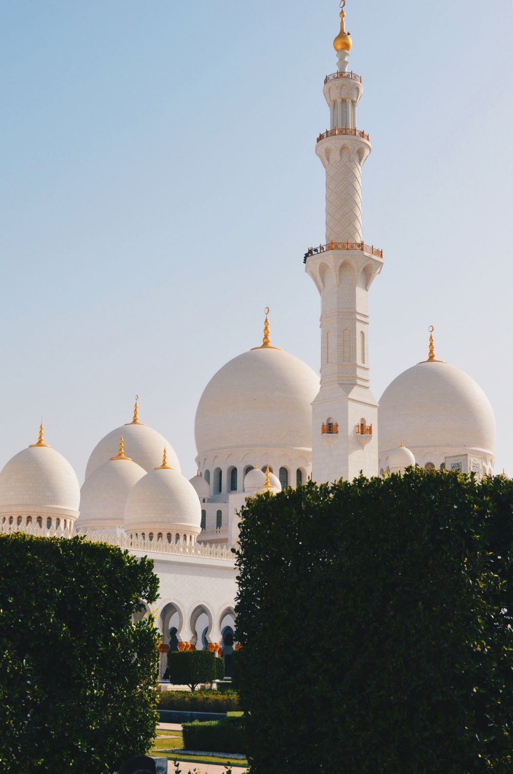 Pembangunan Masjid Hadiah Syeikh Zayed untuk Jokowi Molor 3 Bulan