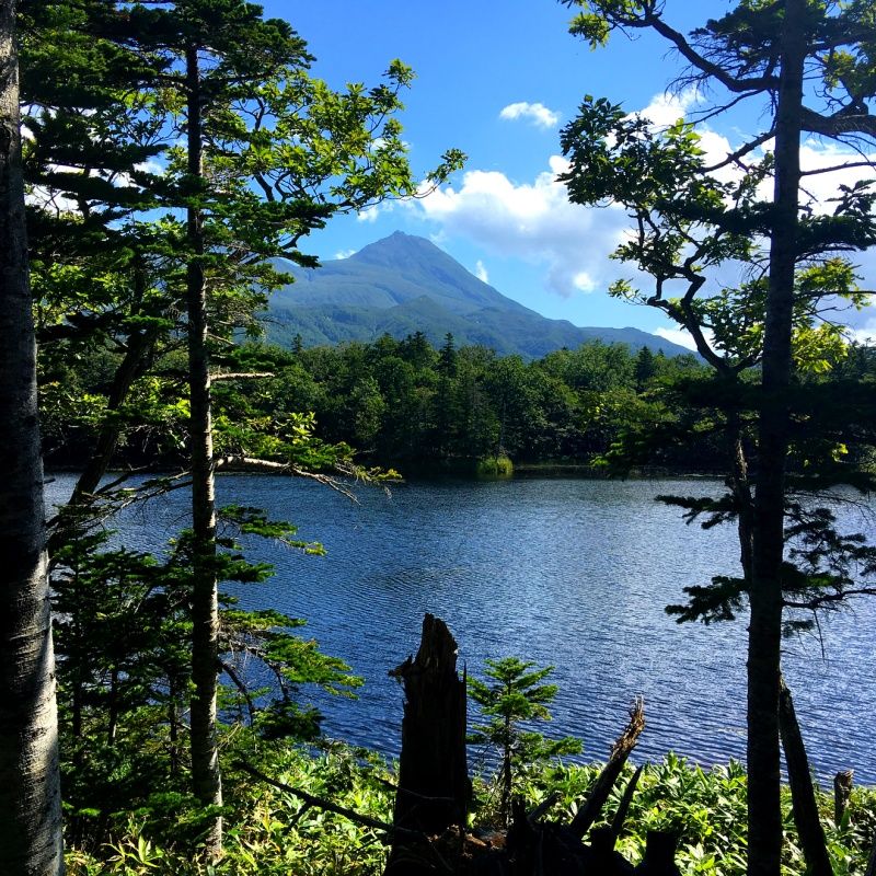 Kelewat Menawan, 7 Taman Nasional di Jepang Ini Bikin Enggan Pulang