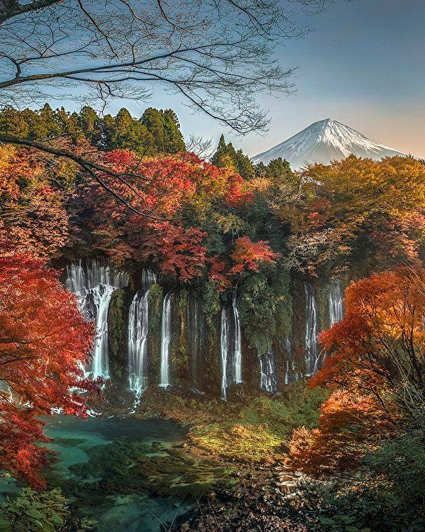 Kelewat Menawan, 7 Taman Nasional di Jepang Ini Bikin Enggan Pulang