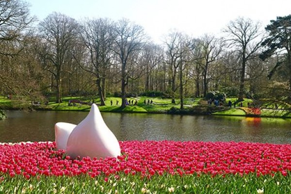 Berkunjung Ke Keukenhof Taman Bunga Tulip Terbesar Di Dunia
