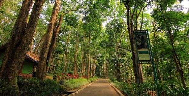 10 Tempat Wisata di Bandung yang Wajib Dikunjungi Usai PPKM