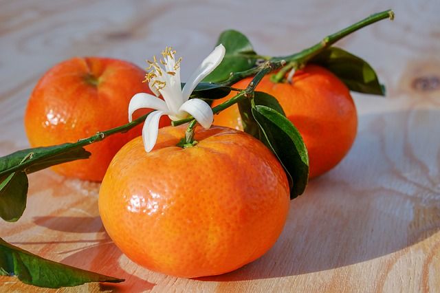 Orange Antara Warna Dan Buah Mana Yang Lebih Dulu