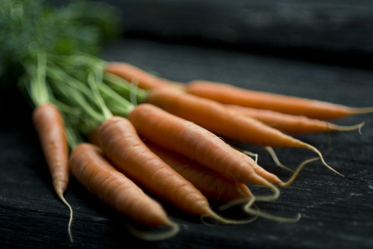 10 Rekomendasi Sayuran Gizi Tinggi yang Patut Diketahui Vegetarian