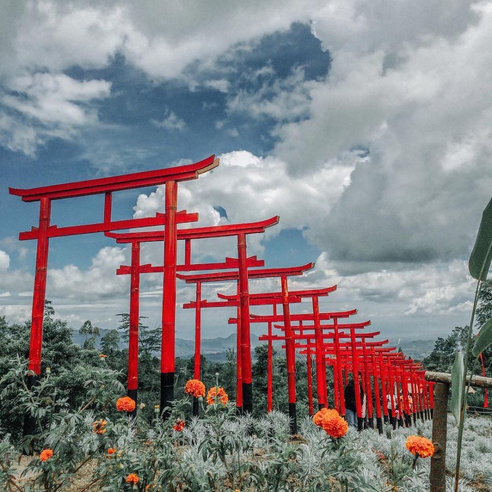 5 Fakta Taman Jinja Destinasi Wisata Hits Ala Negeri Sakura