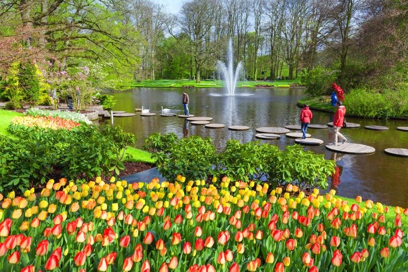 5 Destinasi Wisata Bunga Tulip Yang Indah Di Belanda
