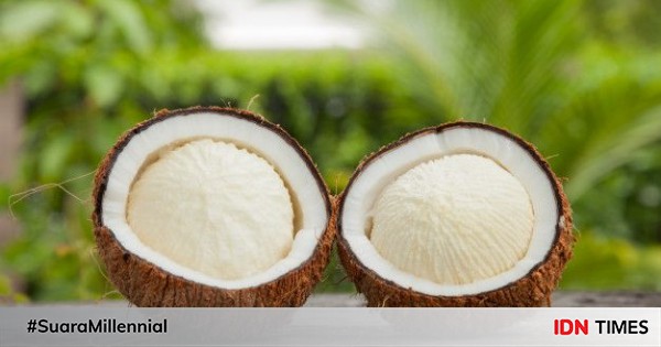 Tips belanja kelapa untuk berbagai kebutuhan
