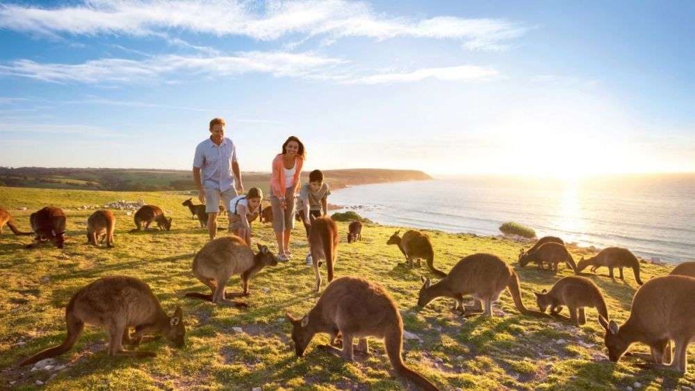 5 Tempat Adelaide yang tidak boleh dilewatkan