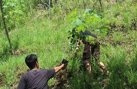 Prihatin Hutan Gundul, Wagub Jateng Dorong Masyarakat Reboisasi