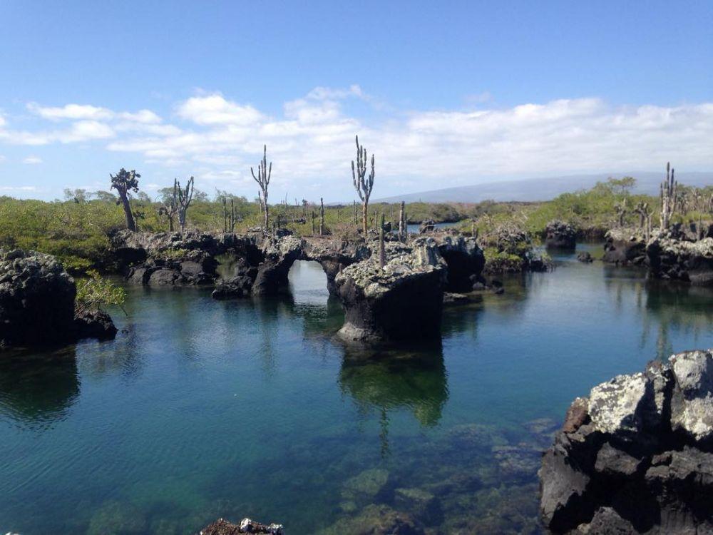 5 Destinasi Liburan di Kepulauan Galapagos Paling Memukau