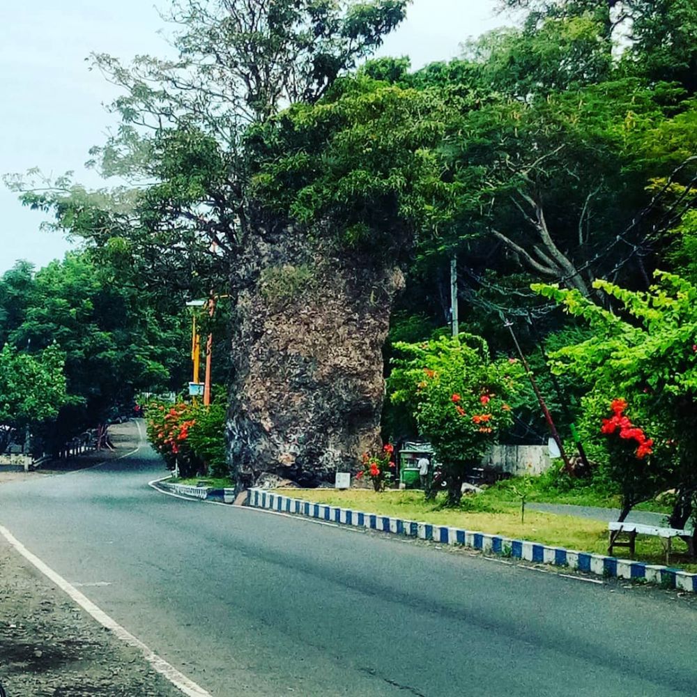 Foto Pemandangan Jalan Terindah Gambar Viral Hd