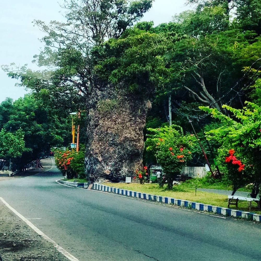 7 Jalan Terindah Di Indonesia Ini Sajikan Pemandangan