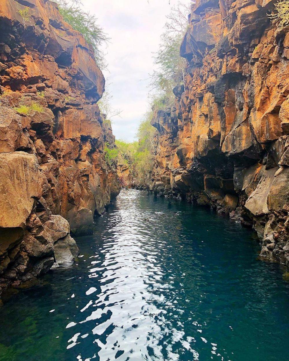 5 Destinasi Liburan di Kepulauan Galapagos Paling Memukau