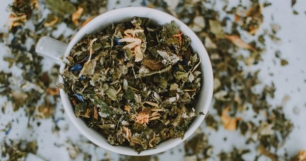 Perbedaan Matcha dan Green Tea, Biar Gak Salah Pilih!