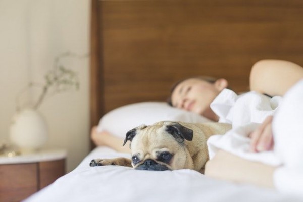 5 Tips Ampuh Atasi Insomnia Saat Traveling, Bikin Liburan Makin Nyaman