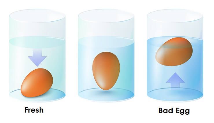 6 Tips Cepat Mengetahui Umur Sebuah Telur