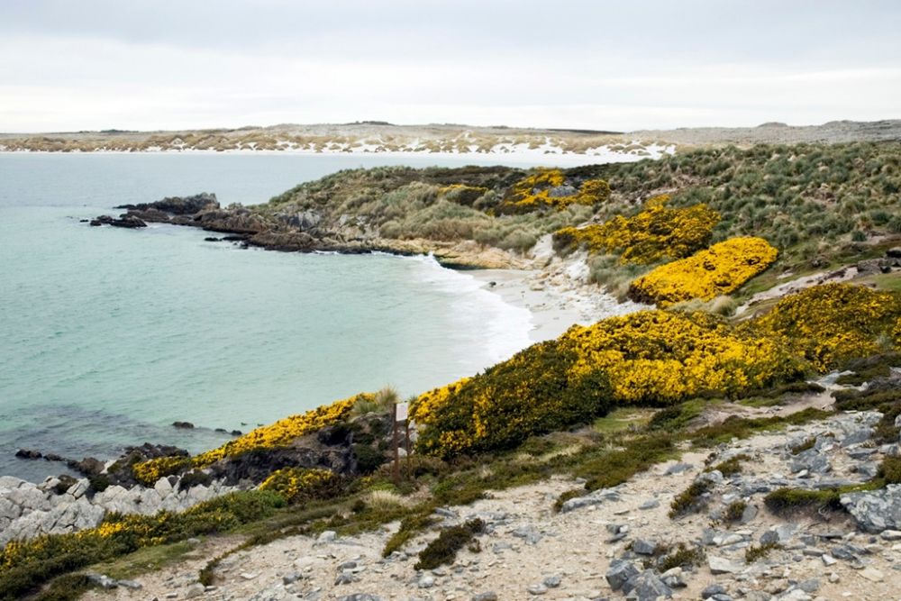 5 Tempat Wisata Menarik yang Terdapat di Kepulauan Falkland