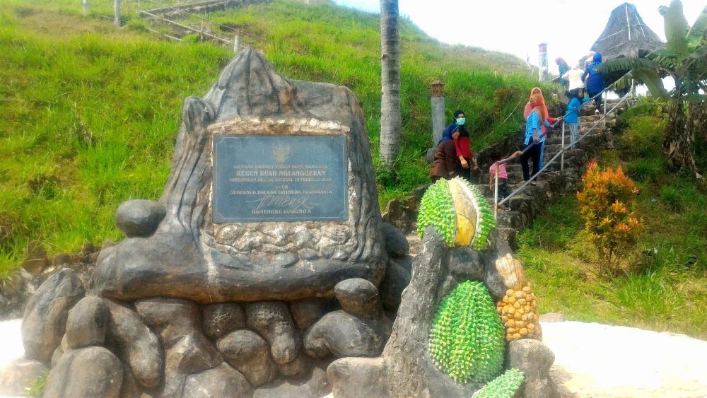 14 Pilihan Agrowisata Buah Di Yogyakarta Buat Libur Lebaranmu