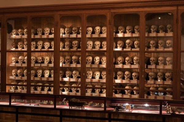 10 Museum Paling Unik di Amerika Serikat, Simpan Otak Albert Einstein